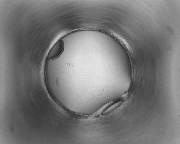 X0000116671475201001041120