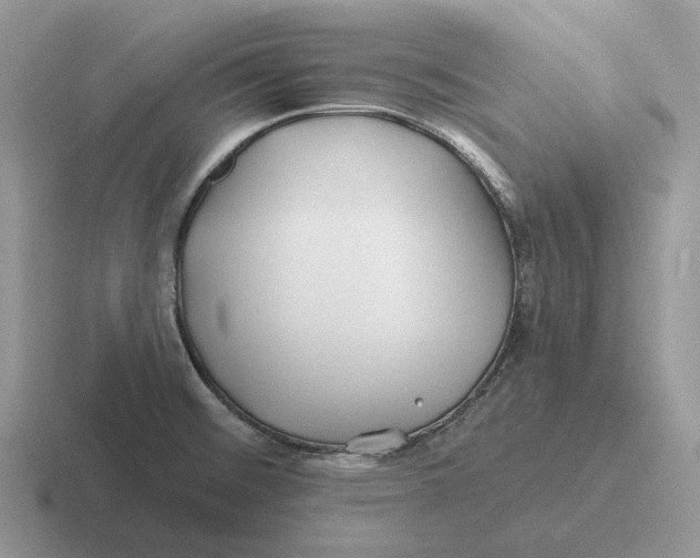 X0000116671476201001041120