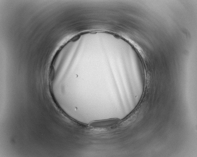 X0000116671477201001041120