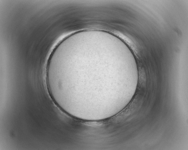 X0000116671478201001041120