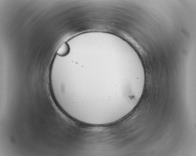 X0000116671479201001041120