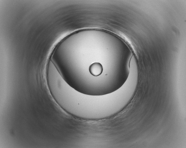 X0000116671480201001041120