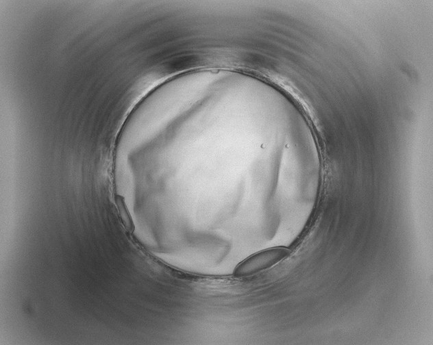 X0000116671481201001041120