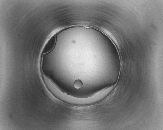 X0000116671482201001041120