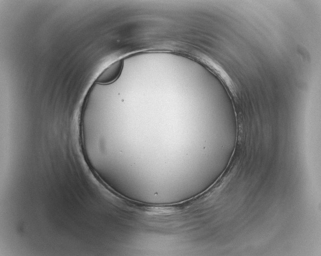 X0000116671483201001041120