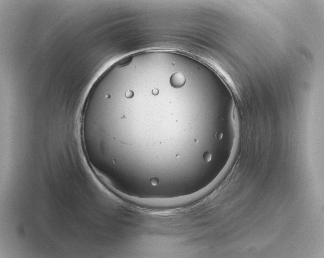 X0000116671484201001041120