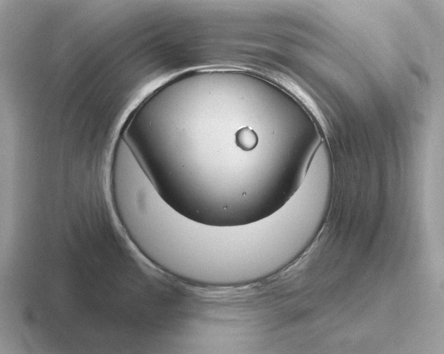 X0000116671485201001041120