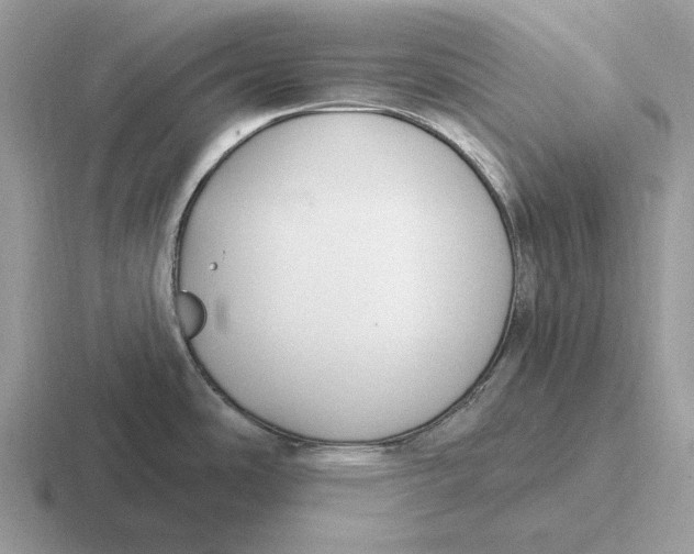 X0000116671486201001041119