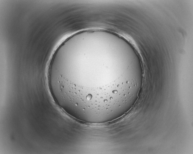 X0000116671488201001041119