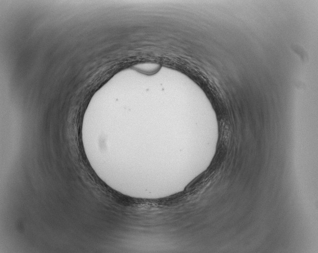 X0000116671489201001041119