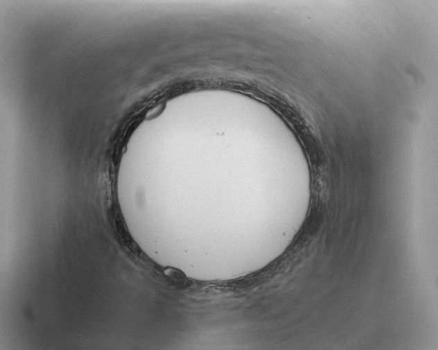 X0000116671493201001041119