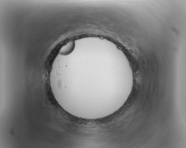 X0000116671495201001041119