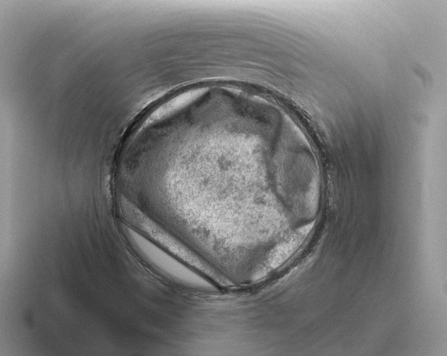 X0000116671497201001041119