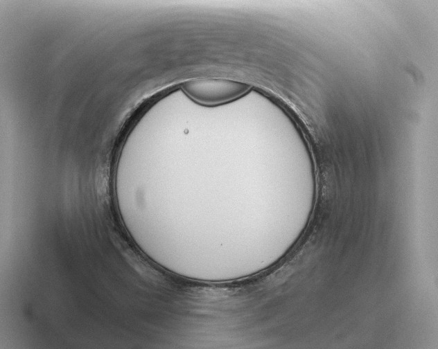 X0000116671499201001041119