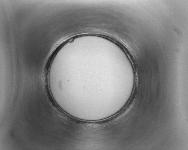 X0000116671501201001041119