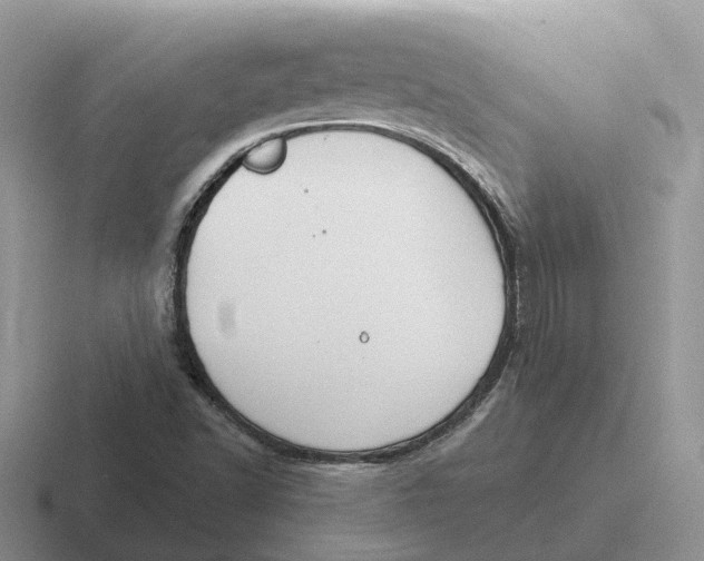 X0000116671502201001041119