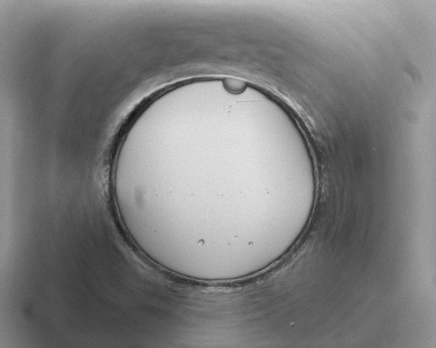 X0000116671503201001041119