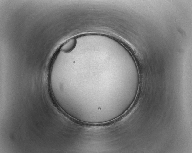 X0000116671506201001041119