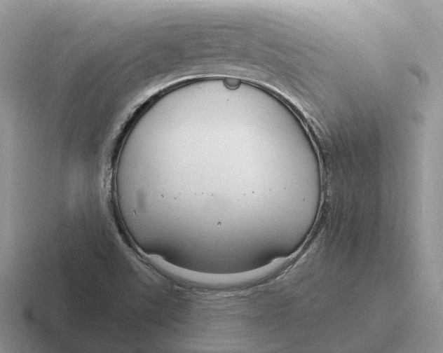 X0000116671507201001041119