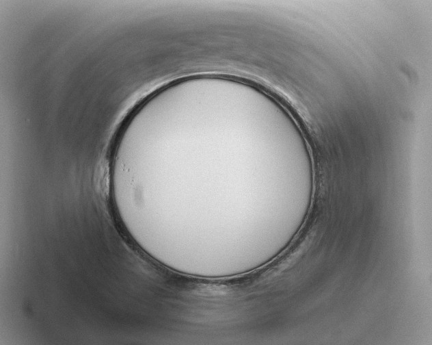 X0000116671509201001041119