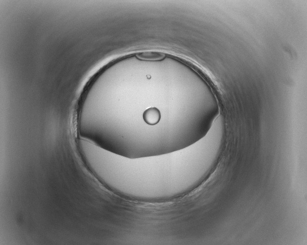 X0000116671510201001041119