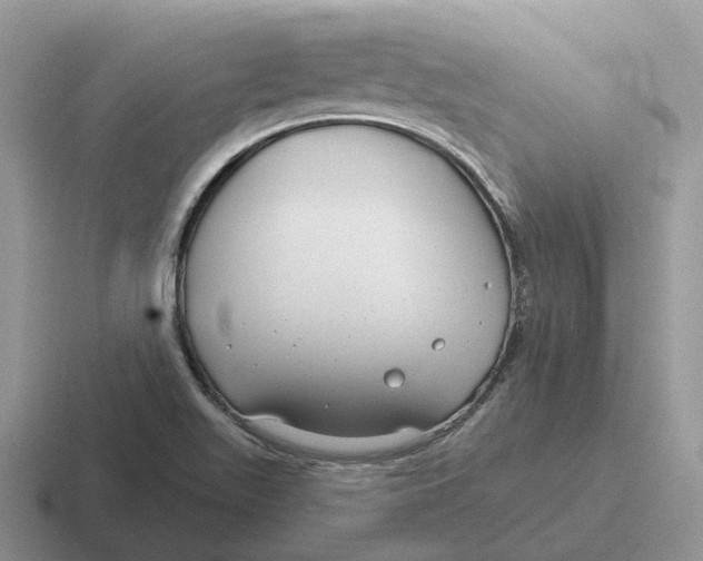 X0000116671511201001041119