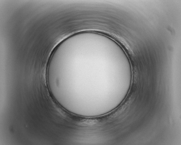 X0000116671513201001041119