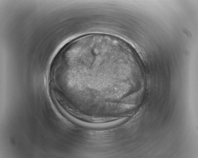 X0000116671515201001041119