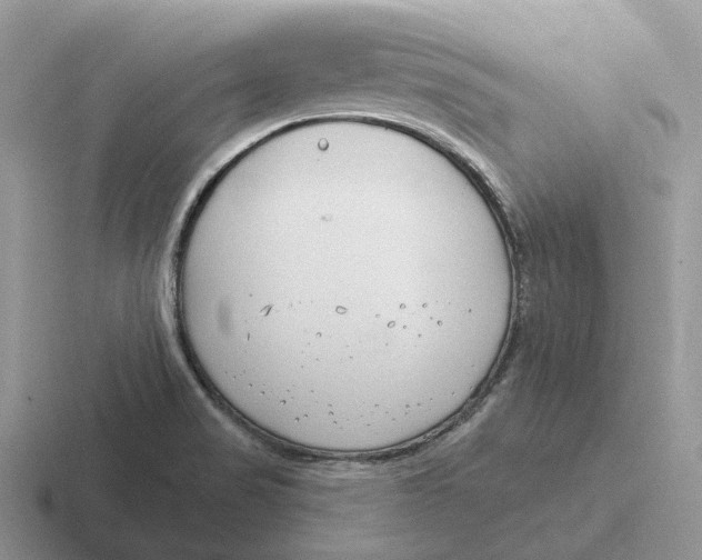 X0000116671517201001041119