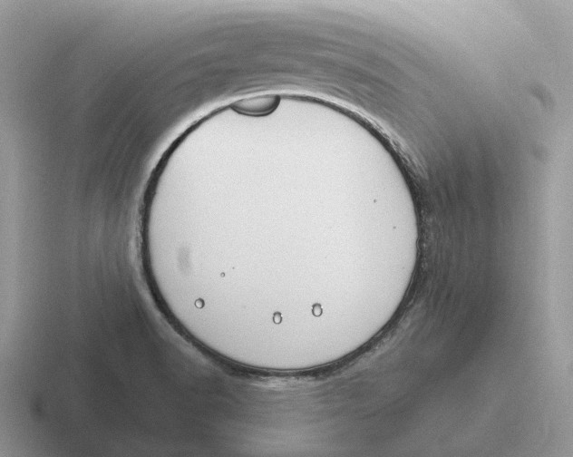 X0000116671518201001041119