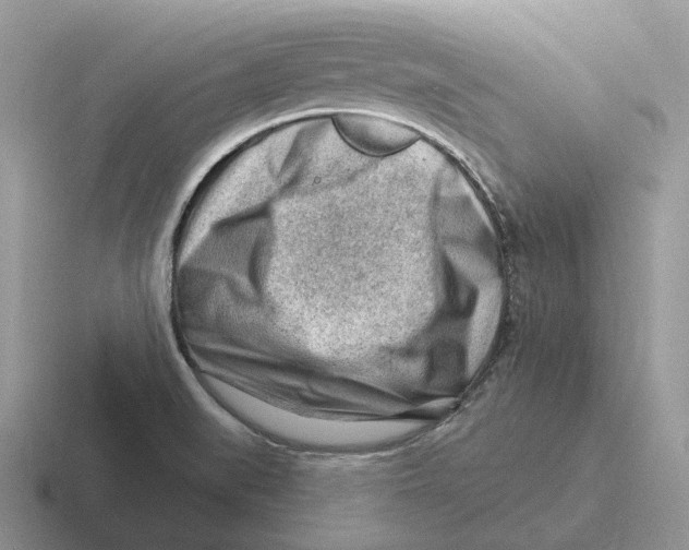 X0000116671519201001041119