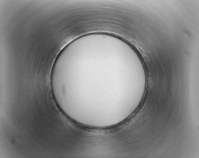 X0000116671521201001041119