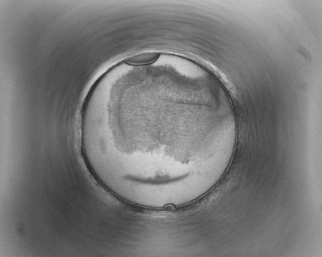 X0000116671522201001041119