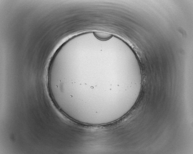 X0000116671523201001041119