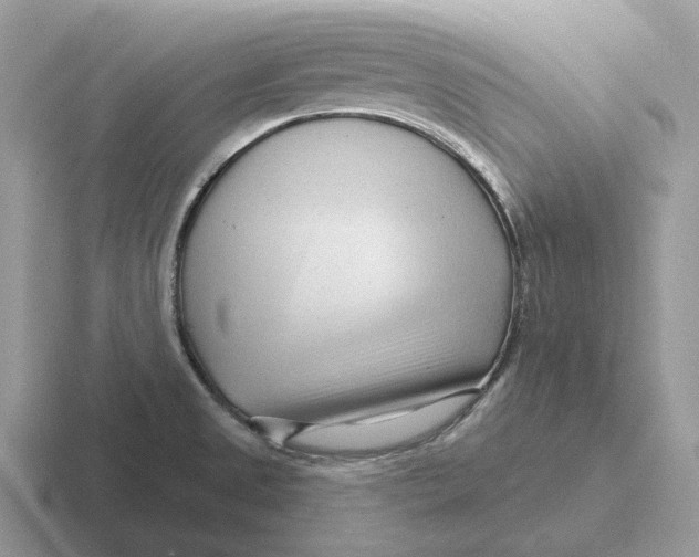 X0000116671525201001041119