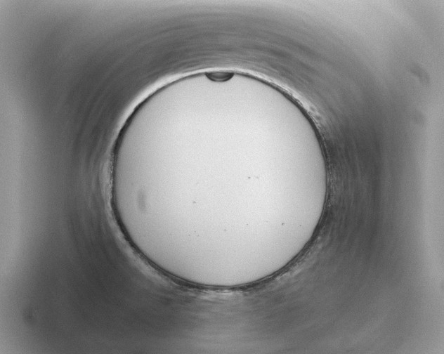 X0000116671526201001041119