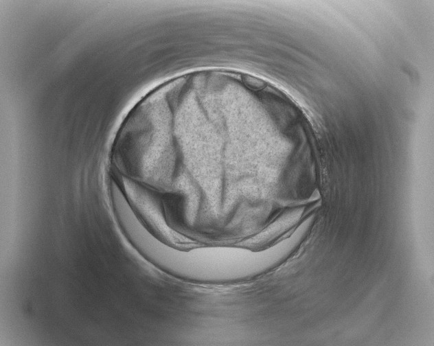 X0000116671527201001041119