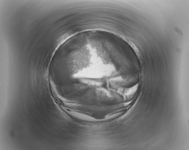 X0000116671529201001041119