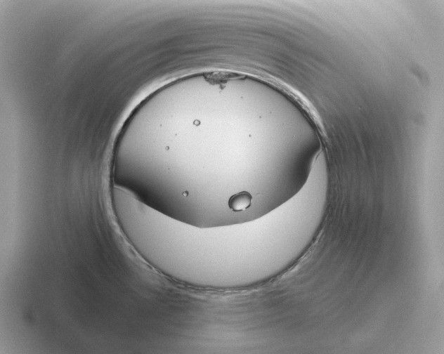 X0000116671530201001041119