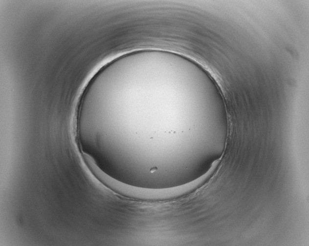 X0000116671531201001041119