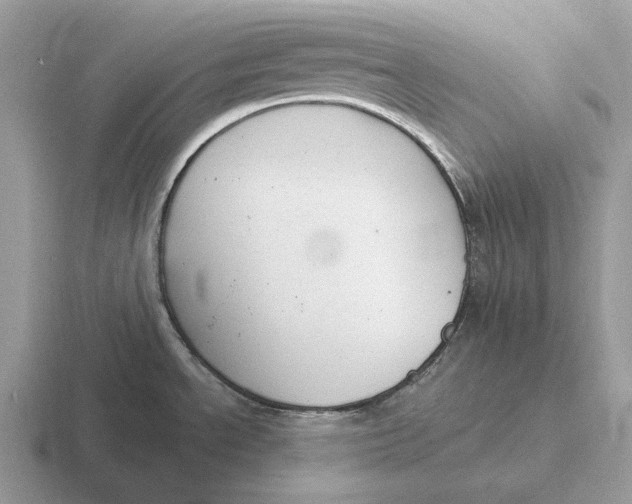 X0000116671534201001041119