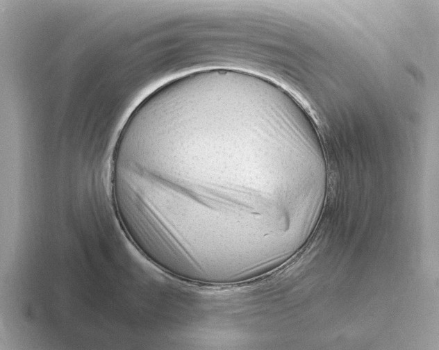 X0000116671535201001041119