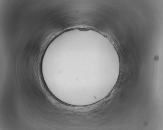 X0000116670001201001111320
