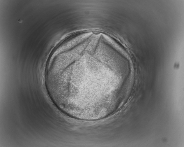 X0000116670002201001111320