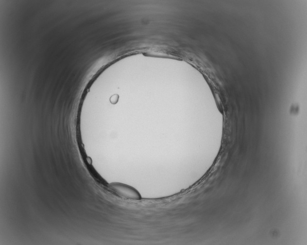 X0000116670003201001111320