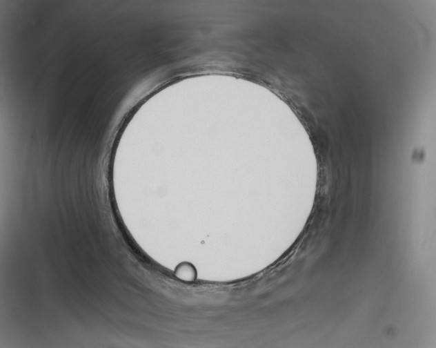 X0000116670004201001111320