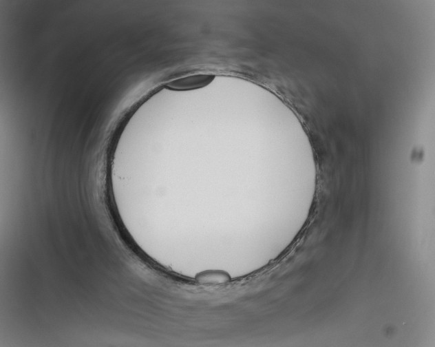 X0000116670005201001111320