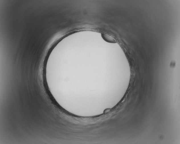 X0000116670006201001111320