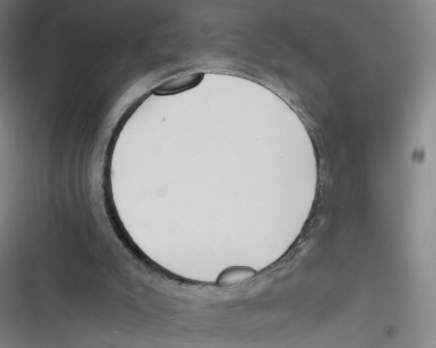 X0000116670007201001111320