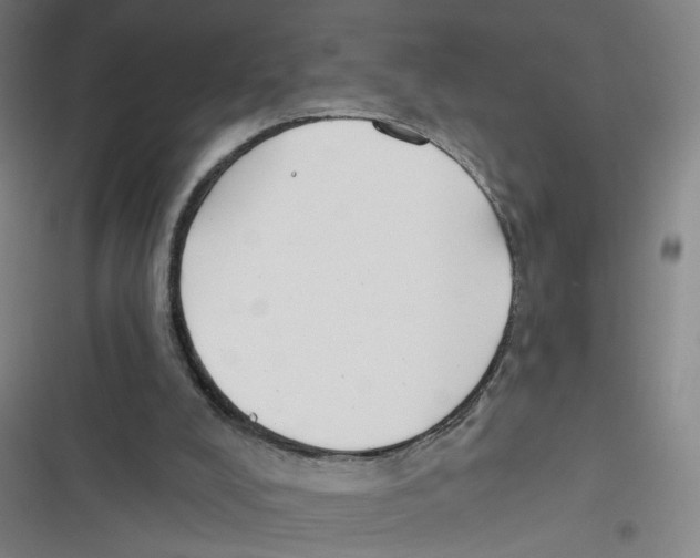 X0000116670008201001111320